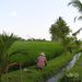 2005_indonesiatrip_332_2